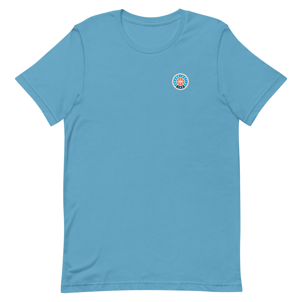 Deane & Hoyle Basic T-Shirt (2021 Logo-Print) - light blue colorway
